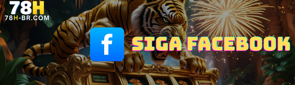 Siga Nossa Página no Facebook banner